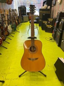 guitare acoustique VGS