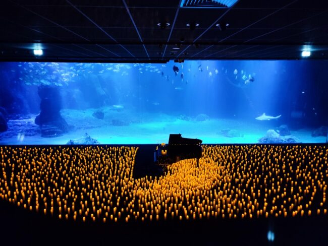 les concerts CANDLELIGHT avec Roubaix-MUSIC