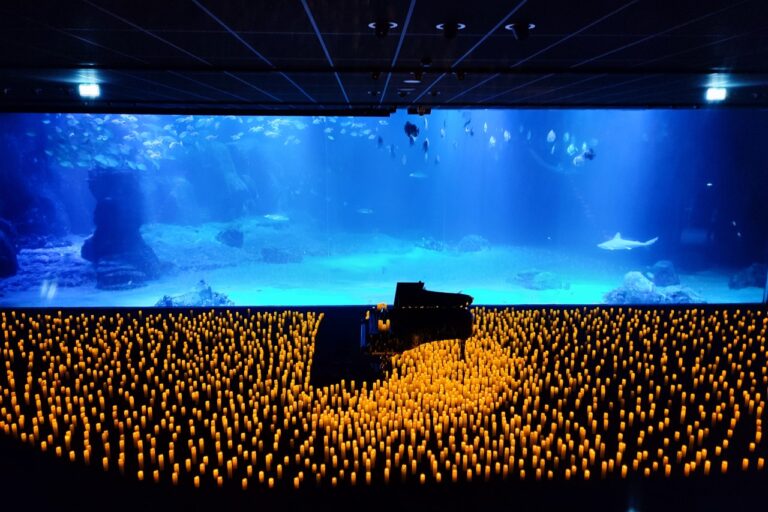 les concerts CANDLELIGHT avec Roubaix-MUSIC