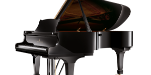 C_227_black_polished_HH_frei_300x300px