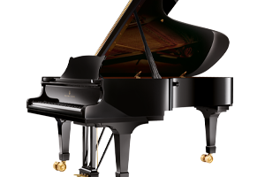 C_227_black_polished_HH_frei_300x300px